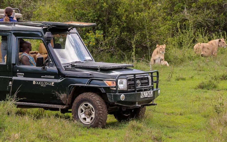 7 Day Kenyan Photographic Safari The Safari Collection